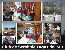 Ampliar imagen img/pictures/151. Club de Scrabble Lagos del Sur/club de escrabble Lagos del Sur (Small).jpg